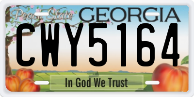 GA license plate CWY5164
