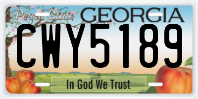 GA license plate CWY5189