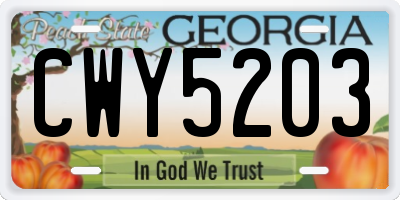GA license plate CWY5203