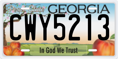 GA license plate CWY5213