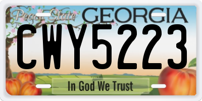 GA license plate CWY5223