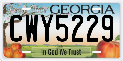GA license plate CWY5229