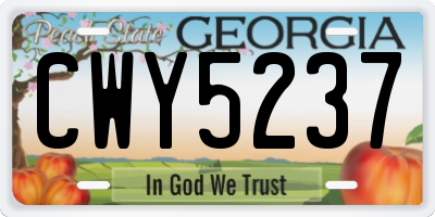 GA license plate CWY5237