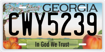 GA license plate CWY5239