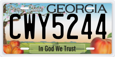 GA license plate CWY5244