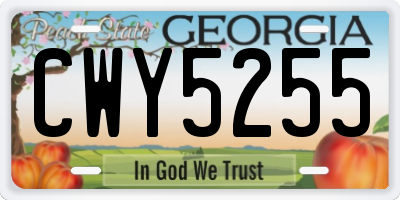 GA license plate CWY5255