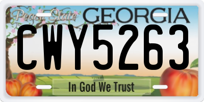 GA license plate CWY5263