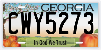 GA license plate CWY5273