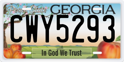 GA license plate CWY5293
