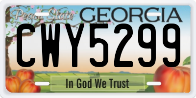 GA license plate CWY5299