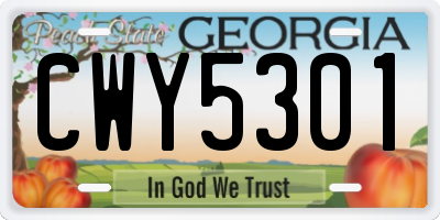 GA license plate CWY5301
