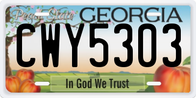 GA license plate CWY5303