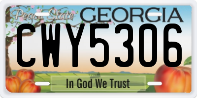 GA license plate CWY5306