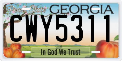 GA license plate CWY5311