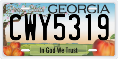 GA license plate CWY5319