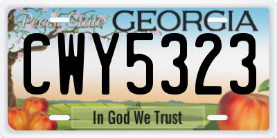 GA license plate CWY5323