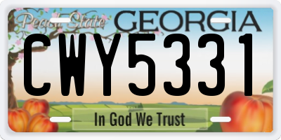 GA license plate CWY5331
