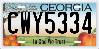 GA license plate CWY5334