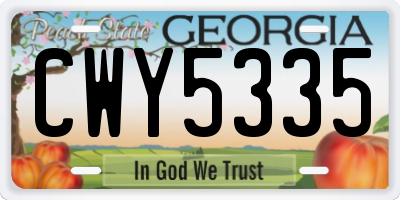 GA license plate CWY5335