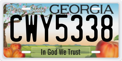 GA license plate CWY5338