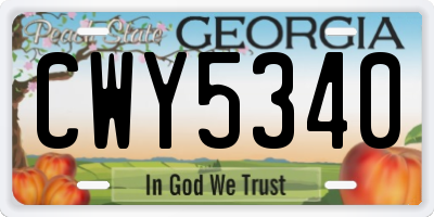 GA license plate CWY5340