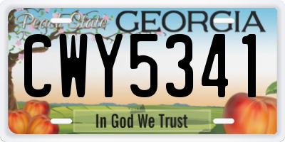 GA license plate CWY5341