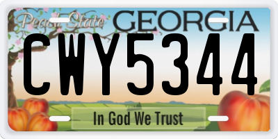 GA license plate CWY5344