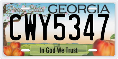 GA license plate CWY5347