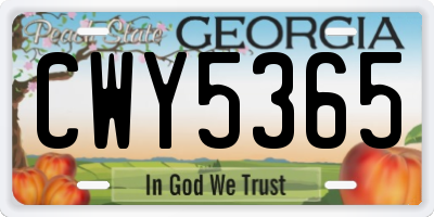 GA license plate CWY5365