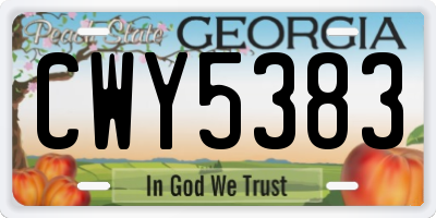 GA license plate CWY5383