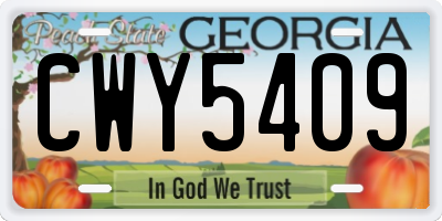 GA license plate CWY5409