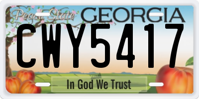 GA license plate CWY5417