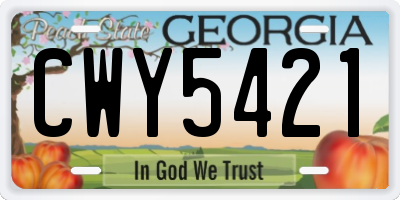 GA license plate CWY5421