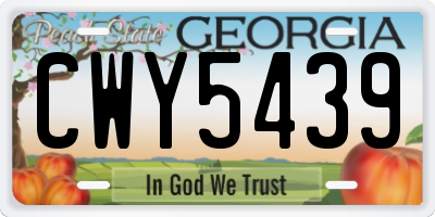 GA license plate CWY5439