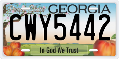 GA license plate CWY5442