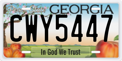GA license plate CWY5447