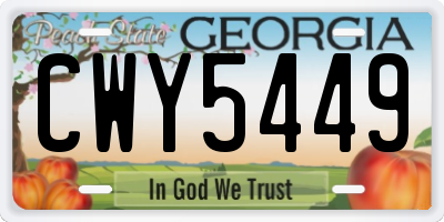 GA license plate CWY5449