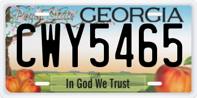 GA license plate CWY5465