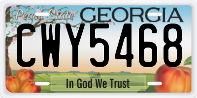 GA license plate CWY5468