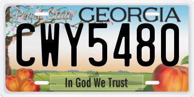 GA license plate CWY5480