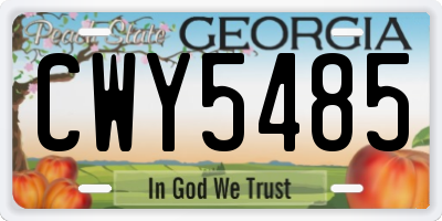 GA license plate CWY5485