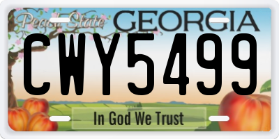 GA license plate CWY5499