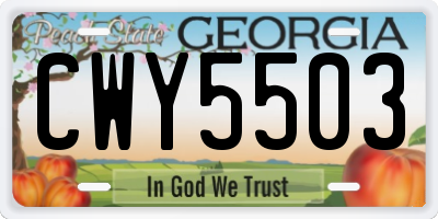 GA license plate CWY5503