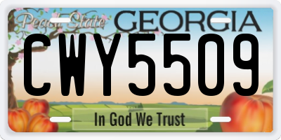 GA license plate CWY5509