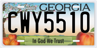 GA license plate CWY5510