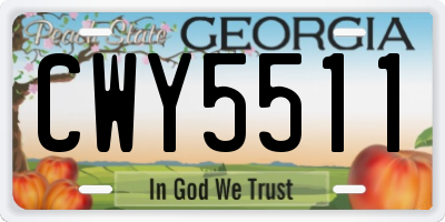 GA license plate CWY5511