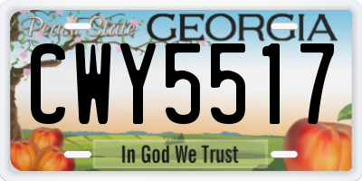 GA license plate CWY5517