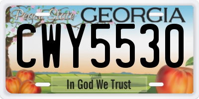 GA license plate CWY5530