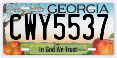 GA license plate CWY5537