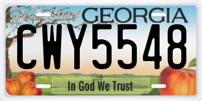 GA license plate CWY5548